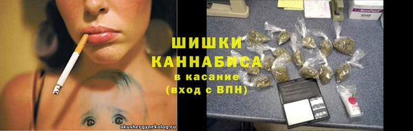 прущие грибы Новозыбков