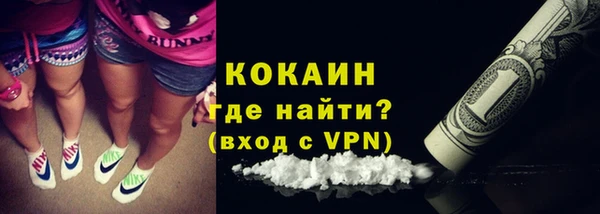 прущие грибы Новозыбков