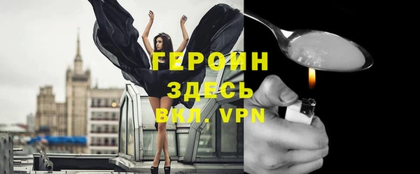 прущие грибы Новозыбков