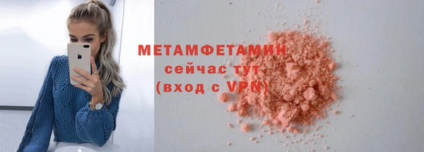 прущие грибы Новозыбков