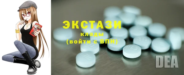 прущие грибы Новозыбков