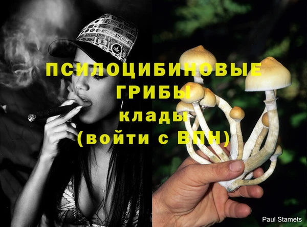 кокаин VHQ Новодвинск