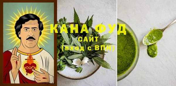 прущие грибы Новозыбков