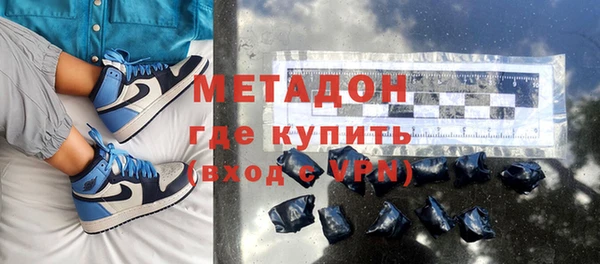 прущие грибы Новозыбков