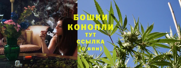 дурь Шали