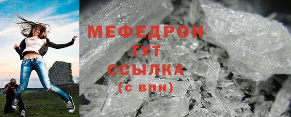 прущие грибы Новозыбков