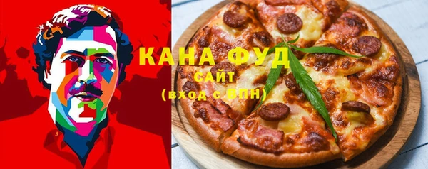 прущие грибы Новозыбков