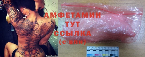 прущие грибы Новозыбков