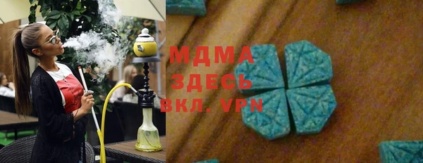 прущие грибы Новозыбков
