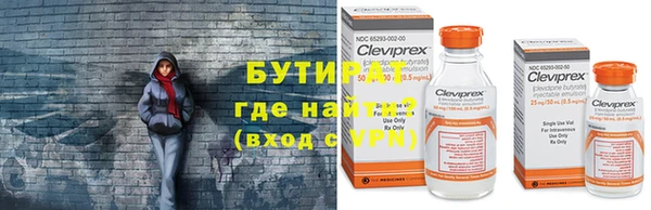 прущие грибы Новозыбков