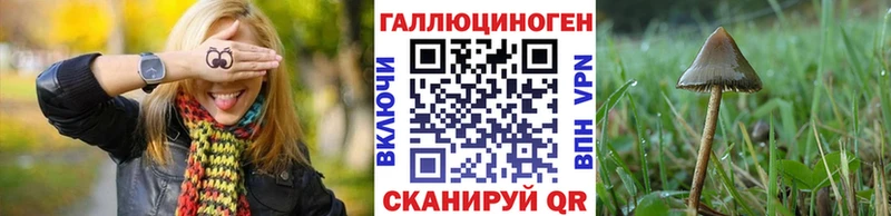где продают   OMG ссылки  Галлюциногенные грибы мицелий  Волоколамск 