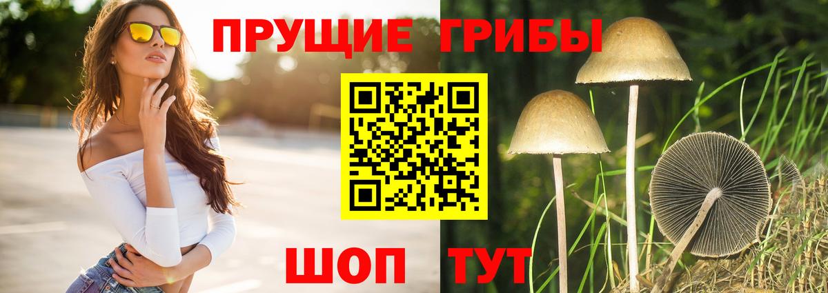 Волоколамск  Псилоцибиновые грибы MAGIC MUSHROOMS  Псилоцибиновые грибы мицелий  Вход с VPN 