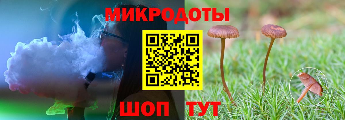 Галлюциногенные грибы Psilocybine cubensis Волоколамск